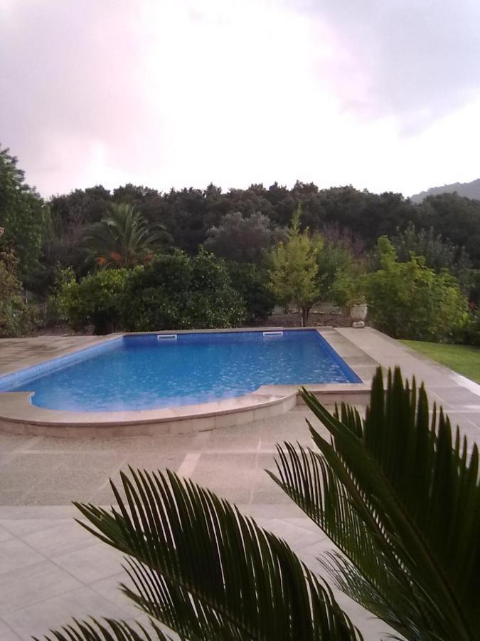Villa Milagro - 3 Bedroom Finca Style Villa With Pool Near Golf Course/Beaches - Air Cond. Pollença Exterior foto